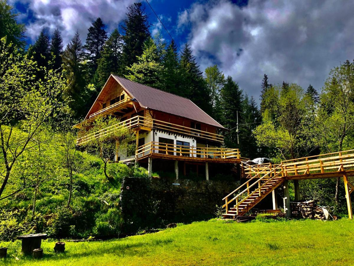 Cabana Cota 1000 Арьешени Экстерьер фото