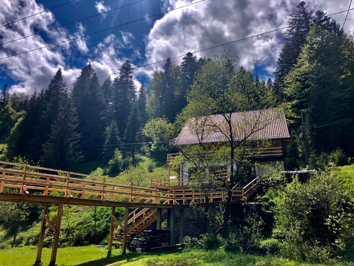 Cabana Cota 1000 Арьешени Экстерьер фото