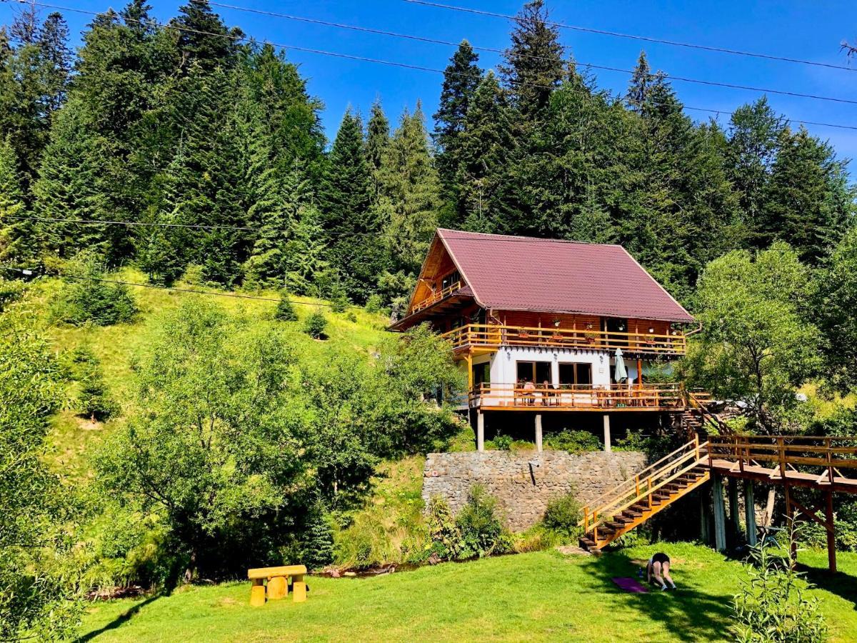 Cabana Cota 1000 Арьешени Экстерьер фото