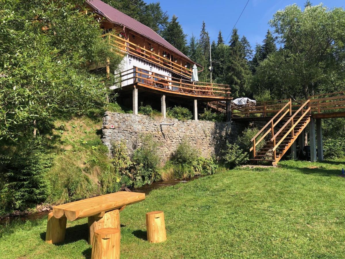 Cabana Cota 1000 Арьешени Экстерьер фото