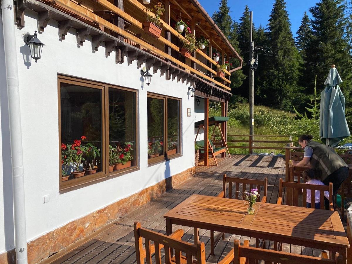 Cabana Cota 1000 Арьешени Экстерьер фото